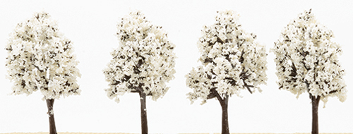 2-1/2 White Dogwood Tree, 4PK